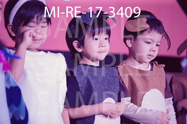 MI-RE-17-3409.jpg