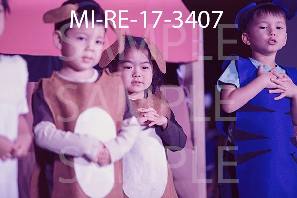 MI-RE-17-3407.jpg
