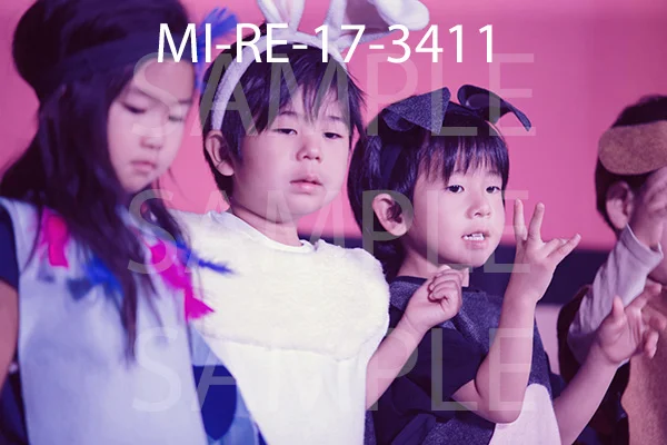 MI-RE-17-3411.jpg