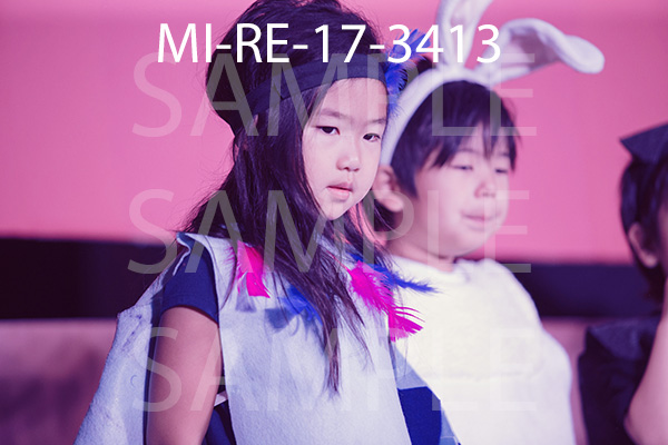 MI-RE-17-3413.jpg