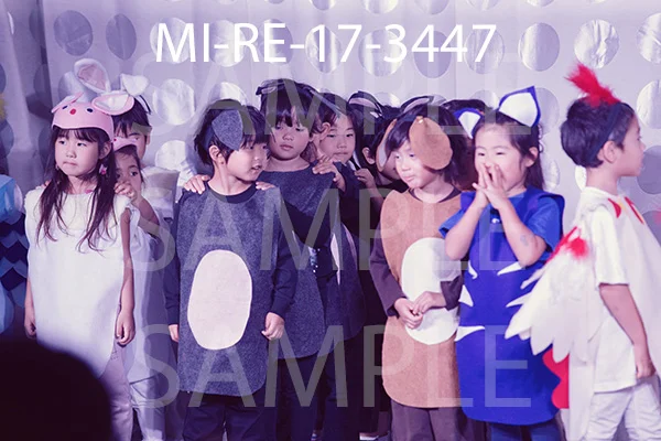MI-RE-17-3447.jpg