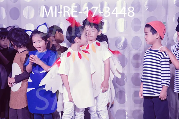 MI-RE-17-3448.jpg