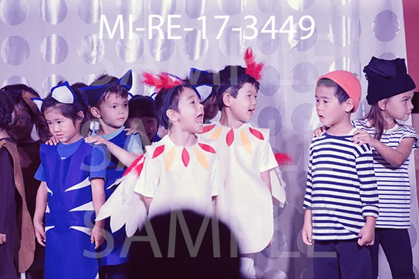 MI-RE-17-3449.jpg