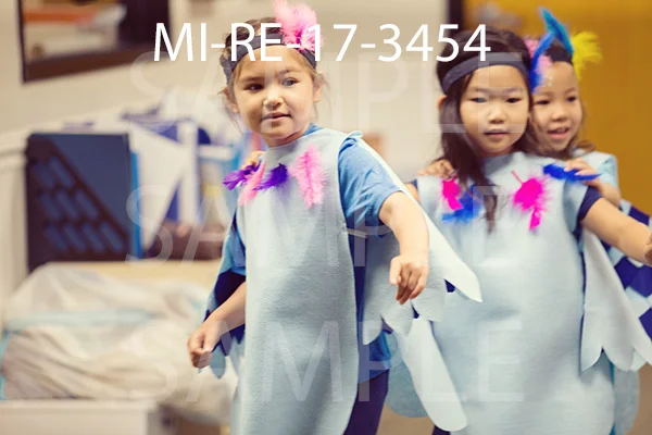 MI-RE-17-3454.jpg