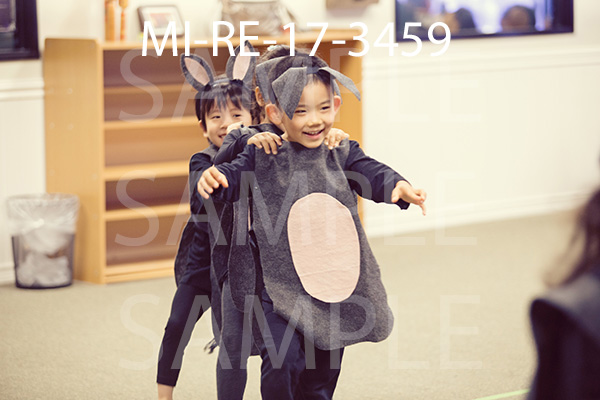 MI-RE-17-3459.jpg