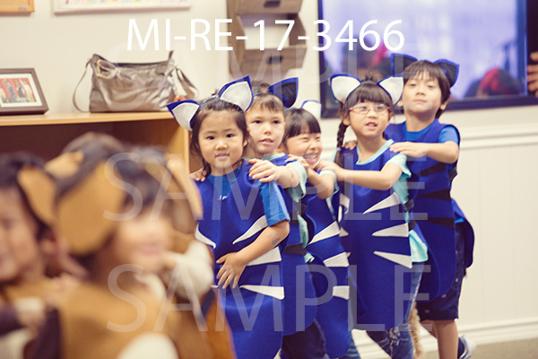 MI-RE-17-3466.jpg