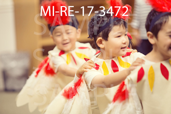 MI-RE-17-3472.jpg