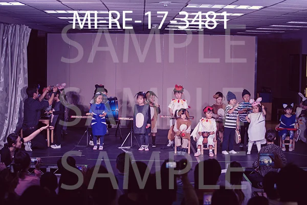 MI-RE-17-3481.jpg