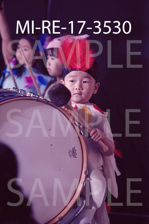 MI-RE-17-3530.jpg
