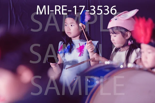 MI-RE-17-3536.jpg