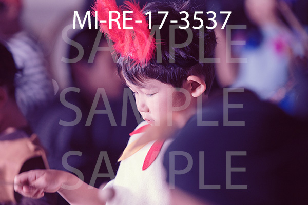 MI-RE-17-3537.jpg