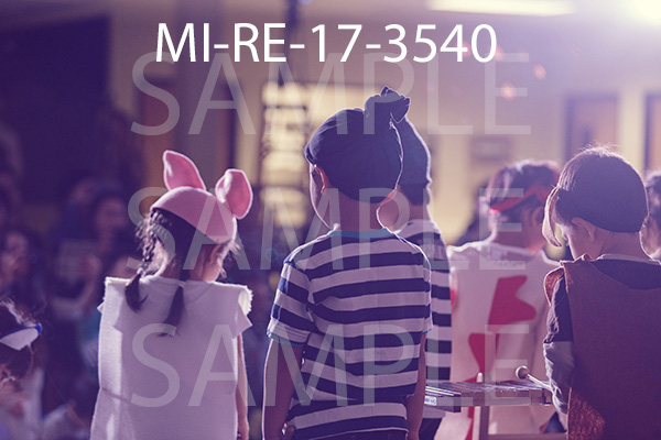 MI-RE-17-3540.jpg
