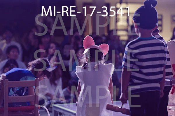 MI-RE-17-3541.jpg