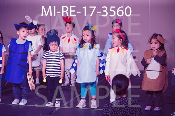 MI-RE-17-3560.jpg