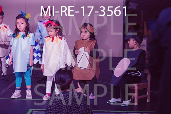 MI-RE-17-3561.jpg