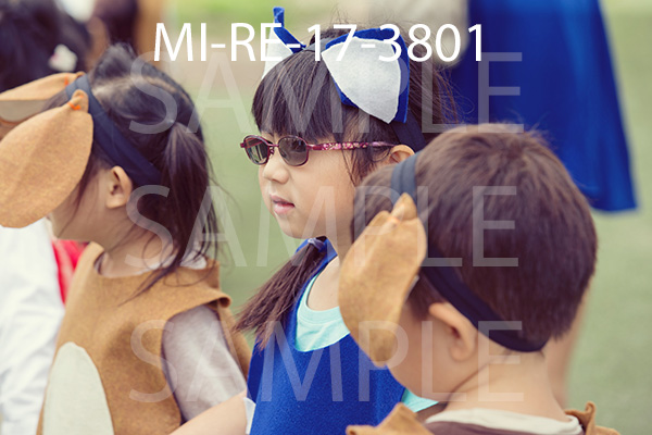 MI-RE-17-3801.jpg