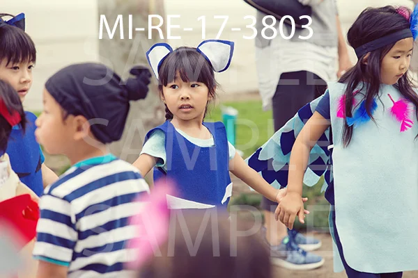 MI-RE-17-3803.jpg