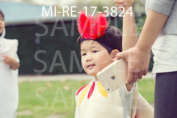 MI-RE-17-3824.jpg
