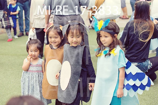 MI-RE-17-3833.jpg
