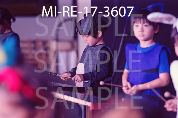 MI-RE-17-3607.jpg