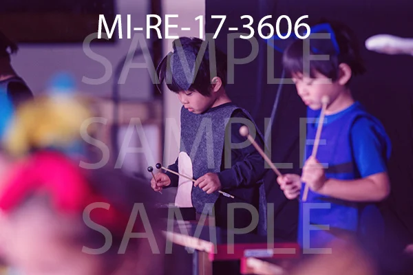 MI-RE-17-3606.jpg