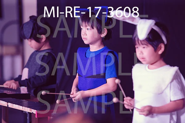MI-RE-17-3608.jpg