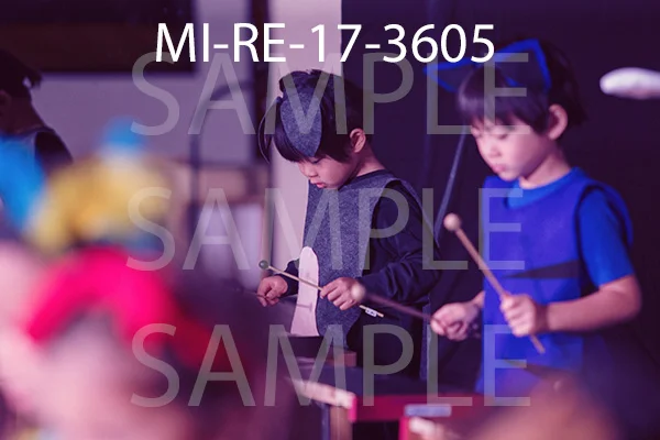 MI-RE-17-3605.jpg
