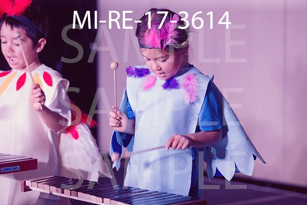 MI-RE-17-3614.jpg