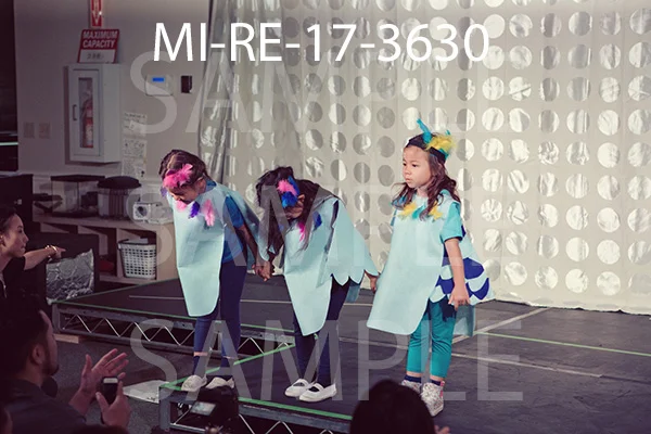MI-RE-17-3630.jpg