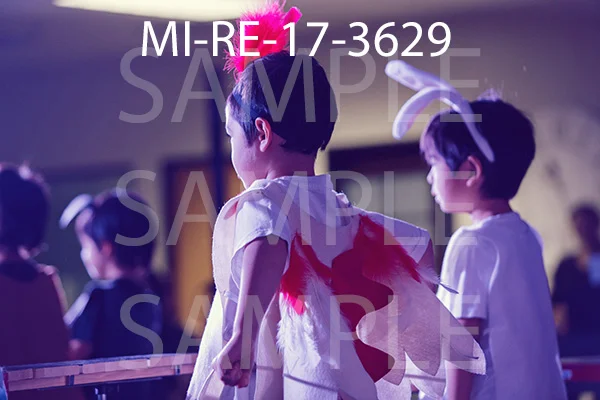 MI-RE-17-3629.jpg