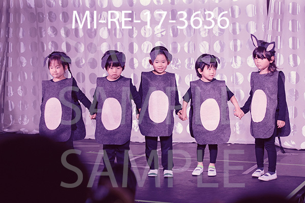 MI-RE-17-3636.jpg