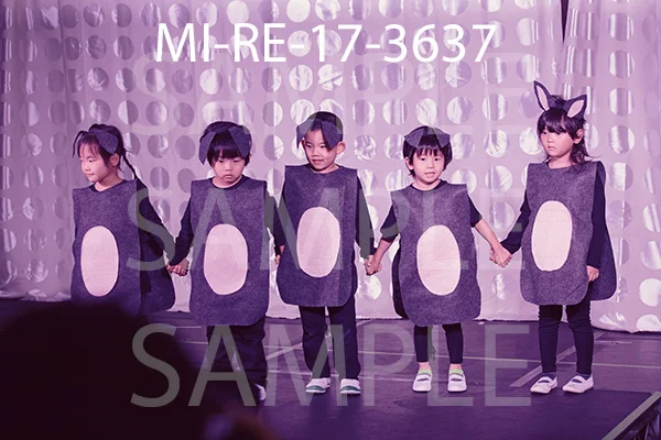 MI-RE-17-3637.jpg
