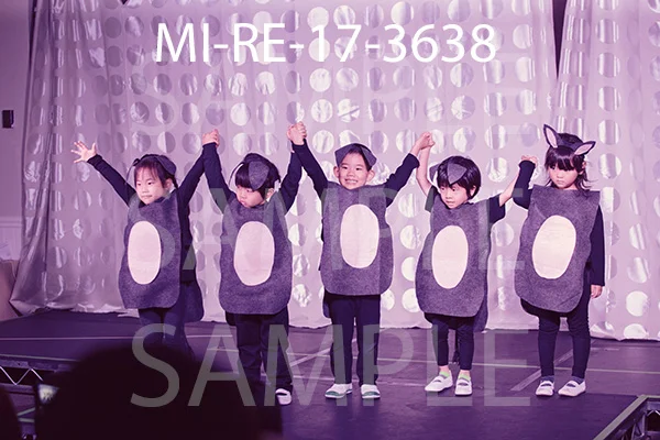 MI-RE-17-3638.jpg