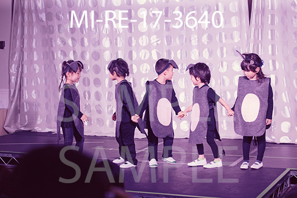 MI-RE-17-3640.jpg