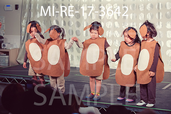 MI-RE-17-3642.jpg
