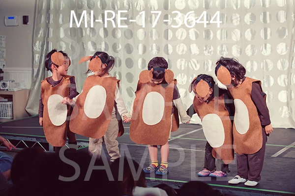 MI-RE-17-3644.jpg