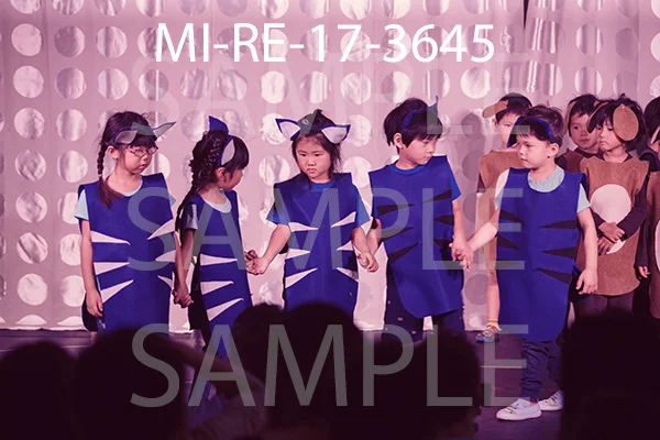 MI-RE-17-3645.jpg
