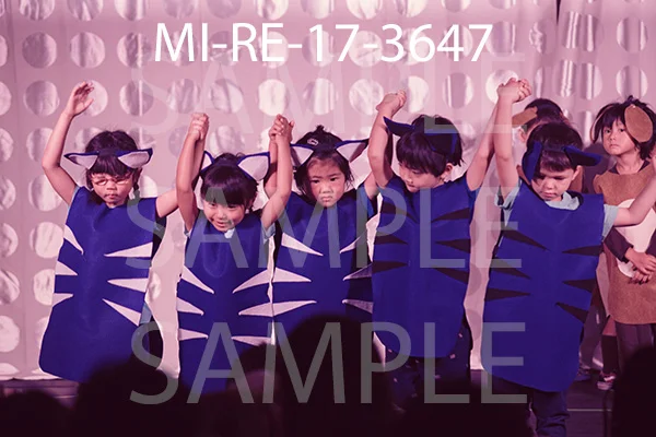 MI-RE-17-3647.jpg