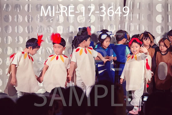 MI-RE-17-3649.jpg