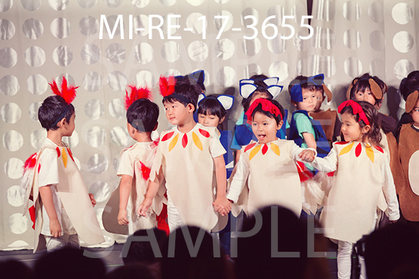 MI-RE-17-3655.jpg