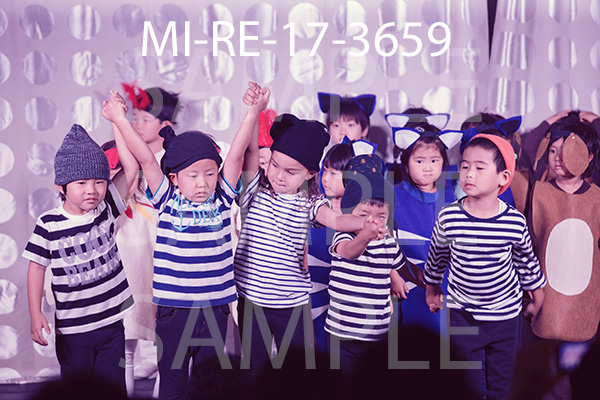 MI-RE-17-3659.jpg