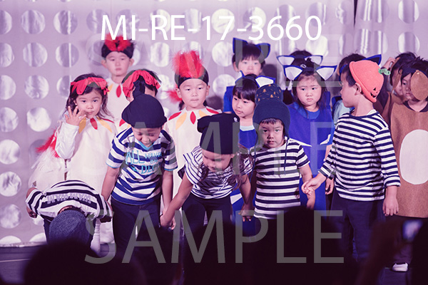 MI-RE-17-3660.jpg