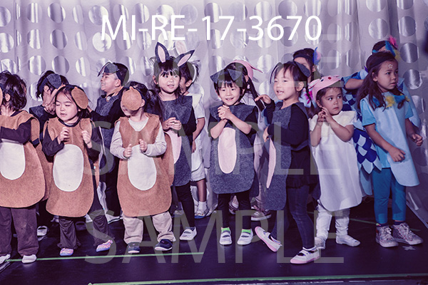 MI-RE-17-3670.jpg
