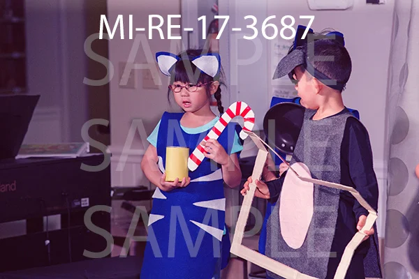 MI-RE-17-3687.jpg