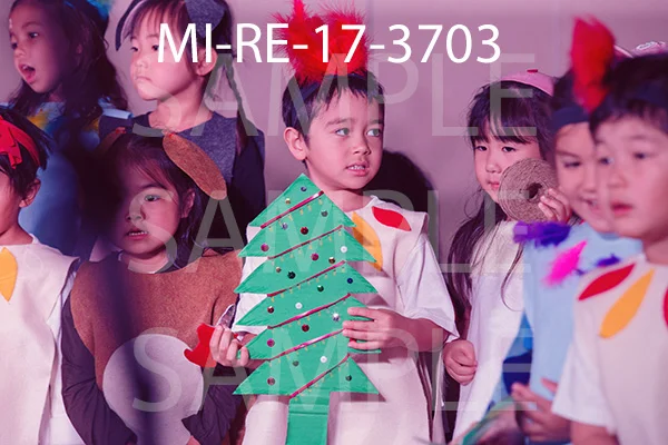 MI-RE-17-3703.jpg