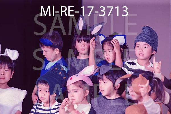 MI-RE-17-3713.jpg