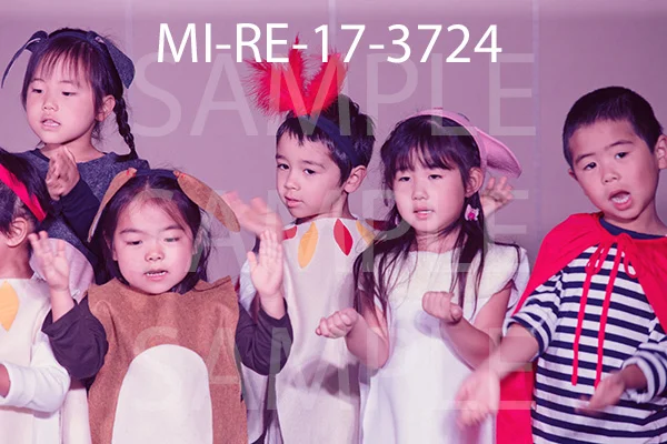 MI-RE-17-3724.jpg