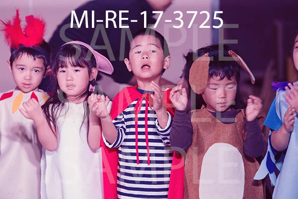 MI-RE-17-3725.jpg