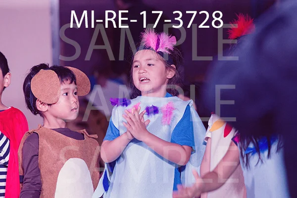 MI-RE-17-3728.jpg