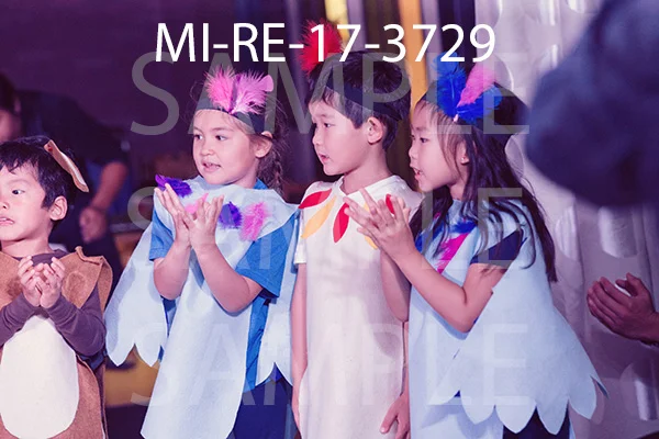 MI-RE-17-3729.jpg